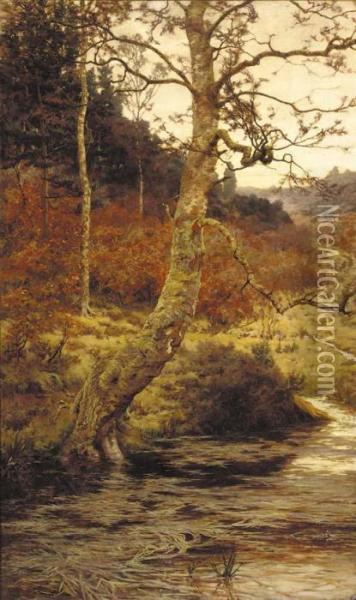 A Sunlit Stream In A Wooded Landscape Oil Painting - Albert Goodwin