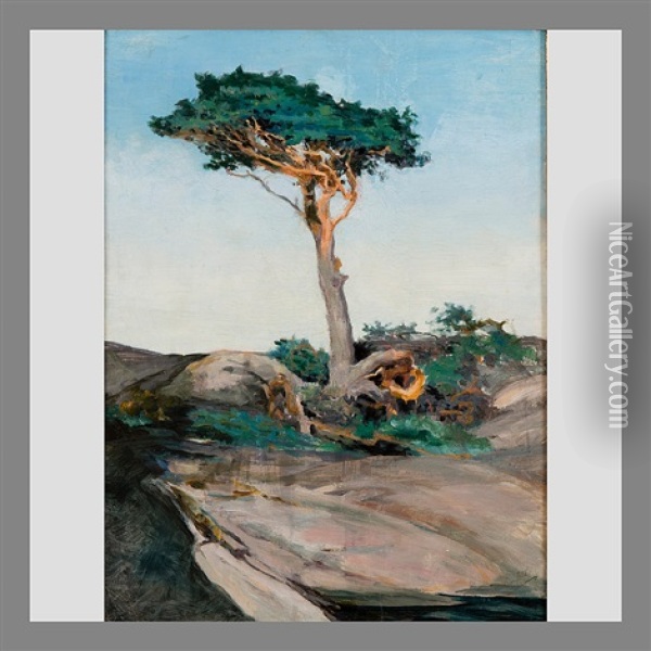 Grand Pine Tree Oil Painting - Sigrid Granfelt