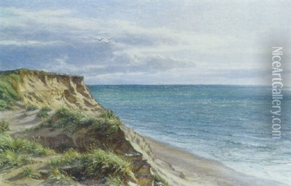 Udsigt Over Havet Oil Painting - Niels Frederik Schiottz-Jensen