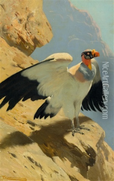 King Vulture Oil Painting - Wilhelm Friedrich Kuhnert