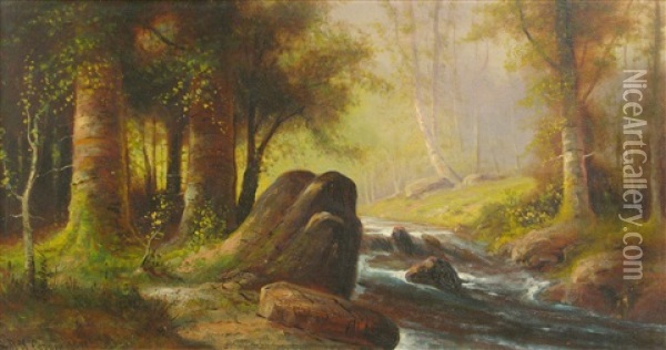 Forrest Stream Oil Painting - Astley David Middleton Cooper