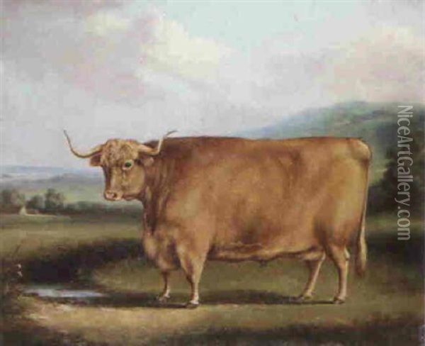 A Longhorn Bull In A Landscape Oil Painting - William Henry Davis