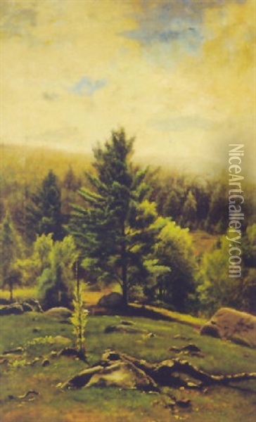 Landscape With Mullen In Foreground Oil Painting - James McDougal Hart