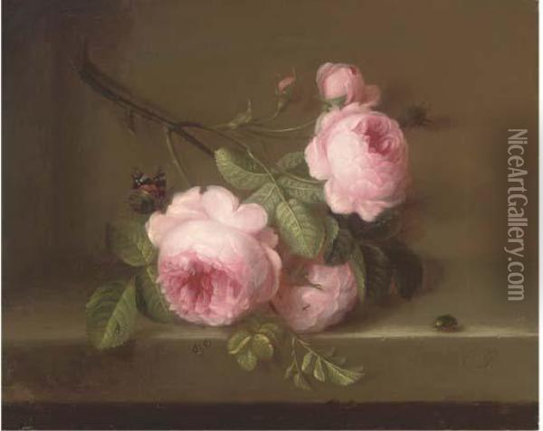 Roses On A Ledge Oil Painting - Cornelis van Spaendonck