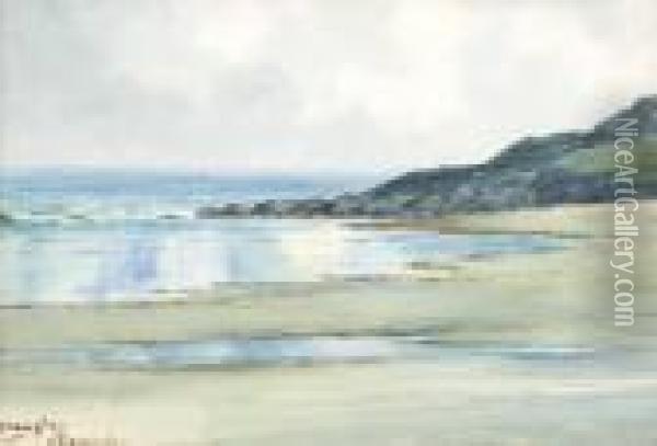 County Wicklow Bay Oil Painting - Douglas Alexander