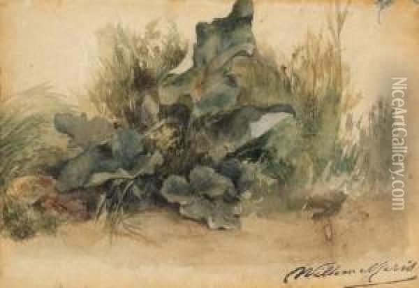 Study Of Foliage Oil Painting - Willem Maris