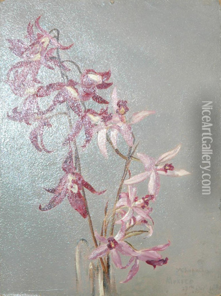 Orchids Oil Painting - Conrad Wise Chapman