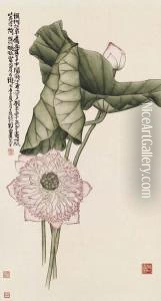 Lotus Oil Painting - Huang Shiling