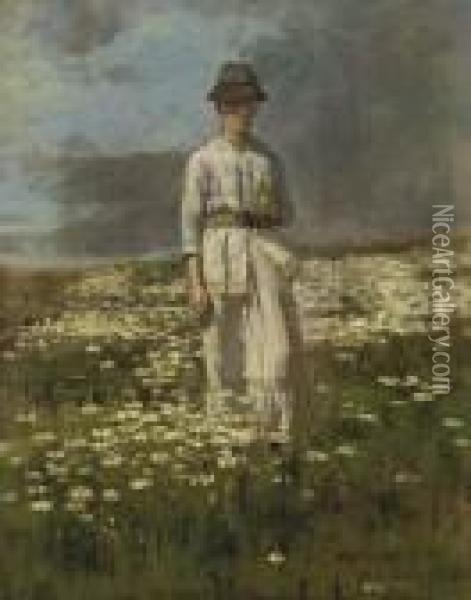 Daisy Field, Nantucket Oil Painting - Theodore Robinson