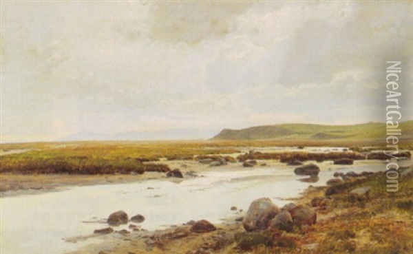 Kystparti Med Mols Bjerge I Baggrunden Oil Painting - Janus la Cour