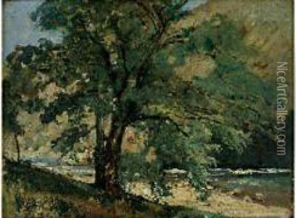 Riviere Et Arbre Oil Painting - Gustave Colin