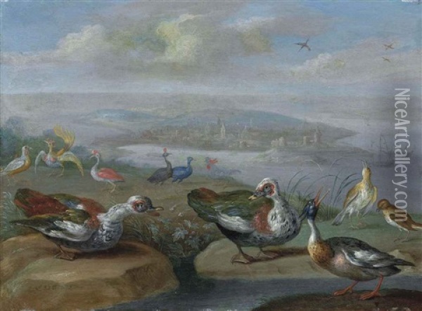 Two Egyptian Geese, A Red-brested Merganser And Other Birds On A Shore, A Town And Vessels Beyond Oil Painting - Jan van Kessel the Younger