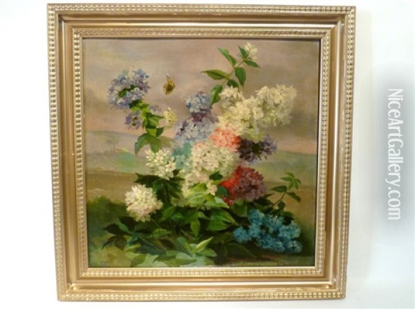 Hortensias Et Papillon Oil Painting - Alexandre Debrus