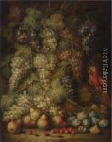 Still Life With Grapes And Parrot Oil Painting - Abraham Brueghel
