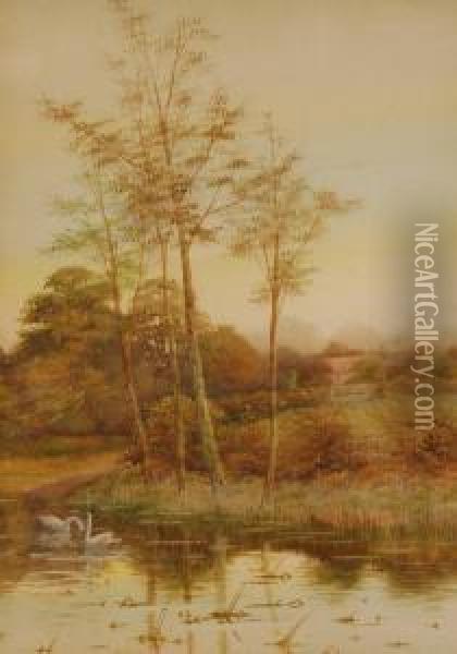 Rural Pond With Swans Oil Painting - George Oyston