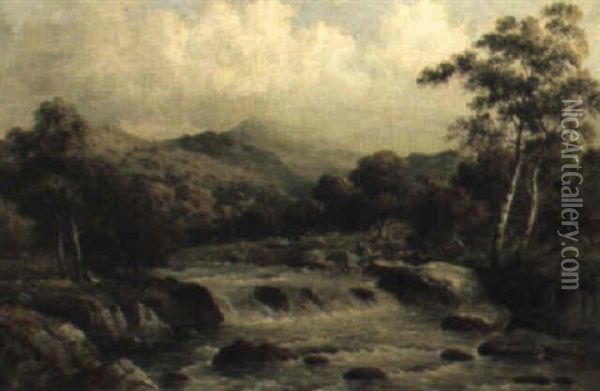 Autumn In The Llugwyvalley Above The Swallow Falls, North Wales Oil Painting - William Henry Mander