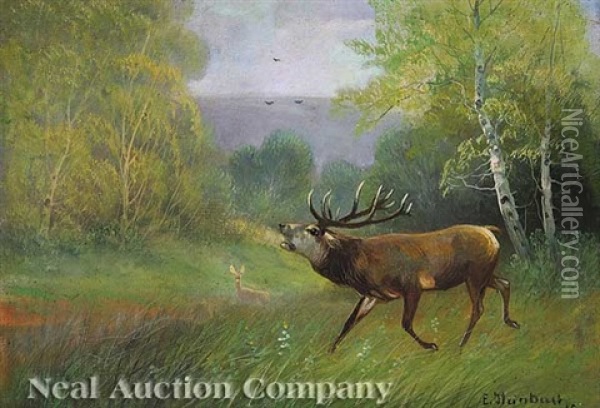 Buck In A Field Oil Painting - Eduard Steinbach