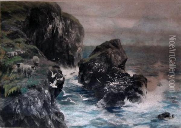 Seascape With Sheep And Seagulls To Rocks Oil Painting - Peter Graham