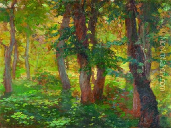 Bosque Oil Painting - Antonio Alice