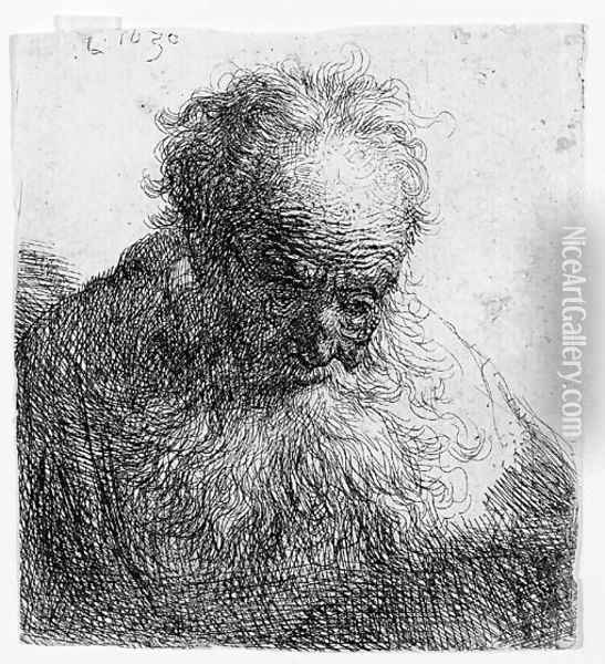 Bust of an old Man with a flowing Beard The Head bowed forward Oil Painting - Rembrandt Van Rijn