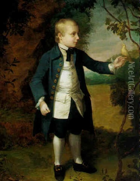 Portrait Of A Young Boy Oil Painting - Tilly Kettle