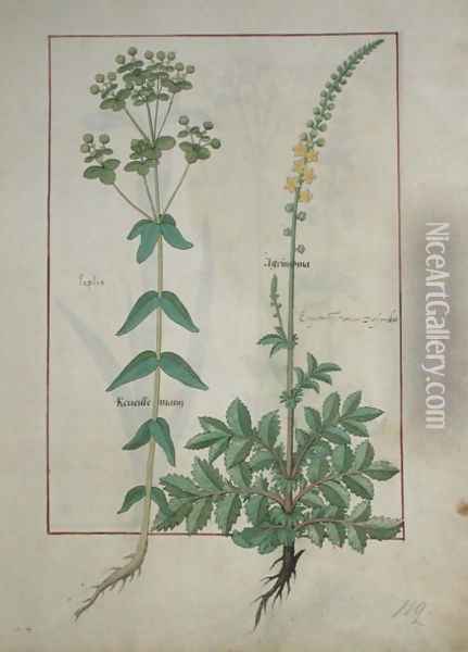 Reveille Matin and Agrimonia, illustration from The Book of Simple Medicines by Mattheaus Platearius d.c.1161 c.1470 Oil Painting - Robinet Testard