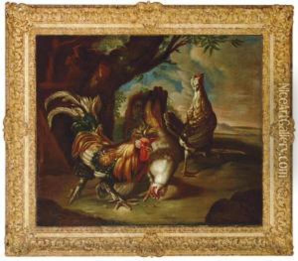 Poultry In A Landscape Oil Painting - David de Coninck