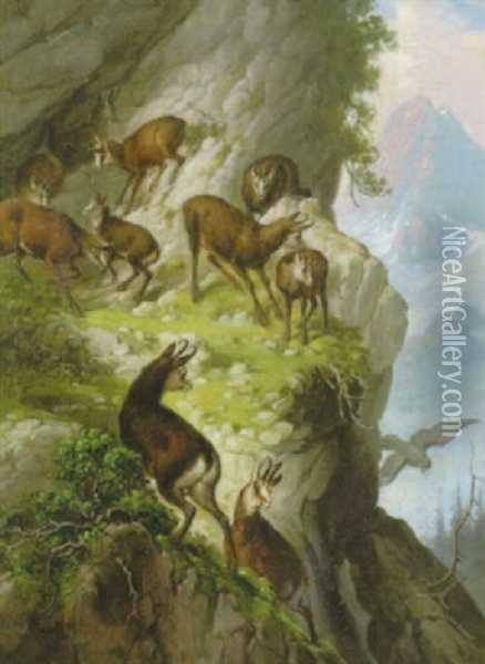 Gamsrudel Auf Felsvorsprung Mit Raubvogel Oil Painting - Franz Xaver von Pausinger