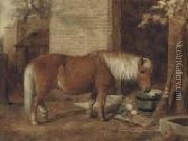 A Pony In A Stable Yard Oil Painting - Snr William Shayer
