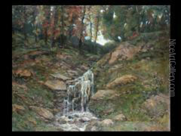 Waldlandschaft Mit Wasserfall Oil Painting - Otto Gampert