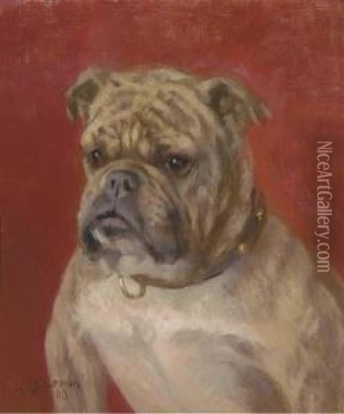 The Head Of A Bulldog Oil Painting - Frances C. Fairman