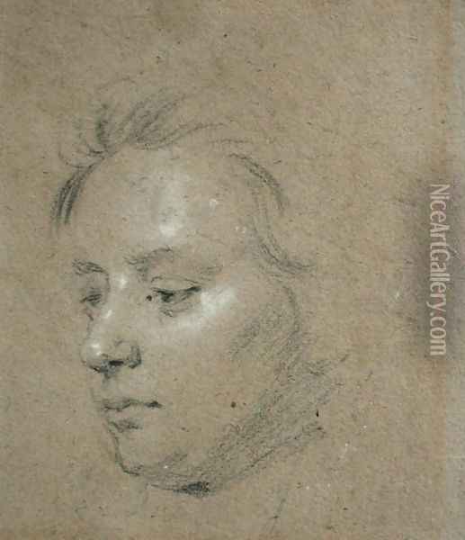 Sketch of the Head of as Young Boy Oil Painting - Sir Godfrey Kneller