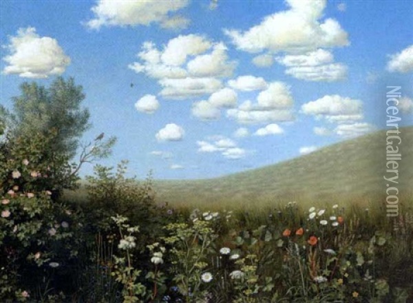 Drivende Skyer Over Sommerlandskab, I Forgrunden Blomstrende Groftekant Oil Painting - Otto Didrik Ottesen
