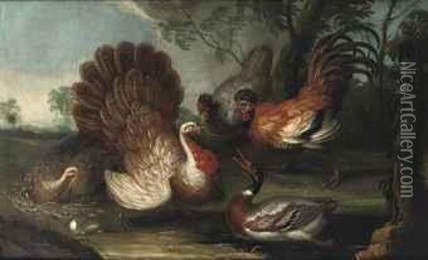 Two Turkeys, A Duck, A Rooster And A Hen In A Landscape Oil Painting - David de Coninck