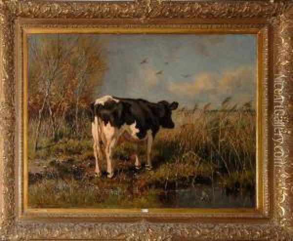 Vache Au Pre Oil Painting - Jan van Hemessen