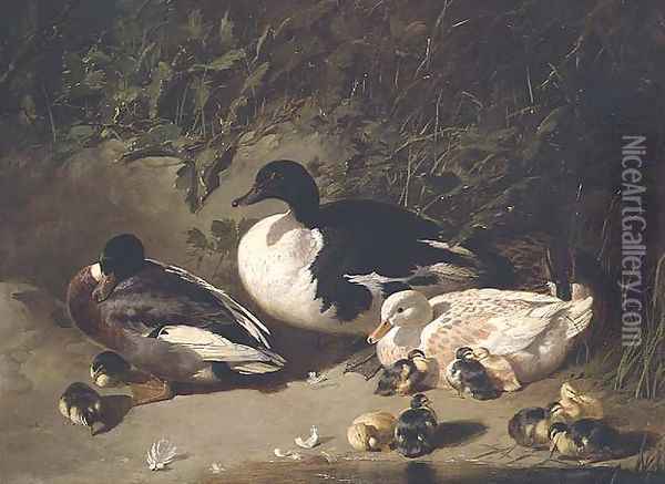 Ducks and Ducklings by a Pond Oil Painting - John Frederick Herring Snr