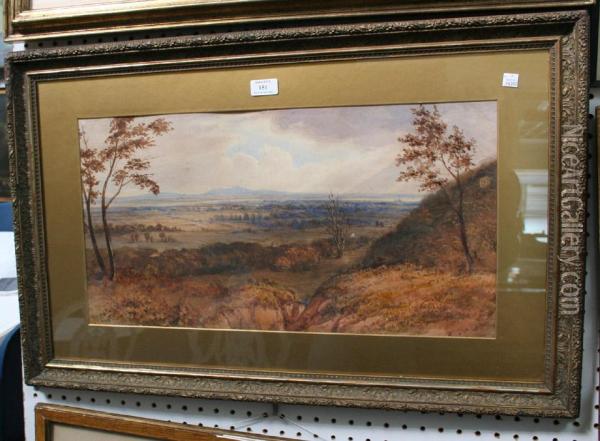 View Of A Landscape Oil Painting - George Price Boyce