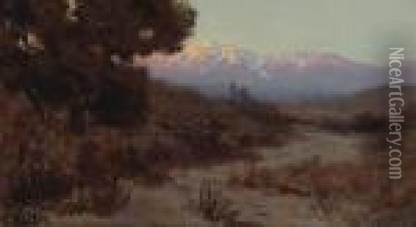 A Shaded Path With Snow-capped Peaks In The Distance Oil Painting - Elmer Wachtel