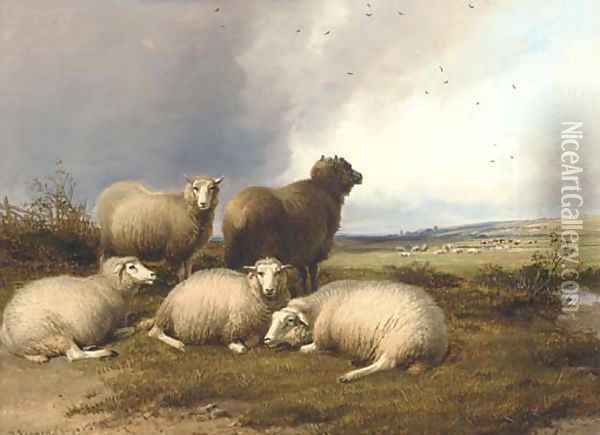 Sheep grazing in a landscape, with rain approaching Oil Painting - Thomas Sidney Cooper