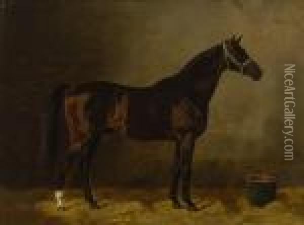 Pferd Im Stall Oil Painting - Emil Volkers