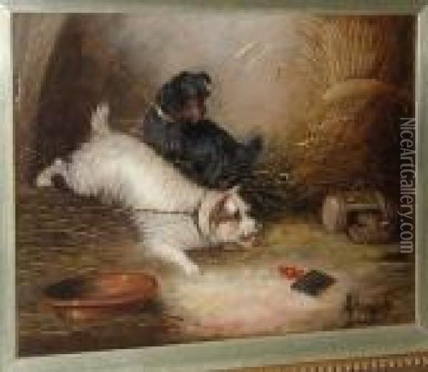 Terriers Leashed In A Barn Oil Painting - George Armfield