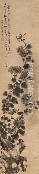 Chrysanthemums And Rocks Oil Painting - Xu Chao