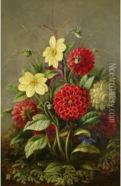 Bouquet De Dahlias Et Marguerites Oil Painting - Albert Durer Lucas