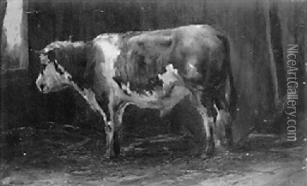 A Young Bull In A Stable Oil Painting - Anton Mauve