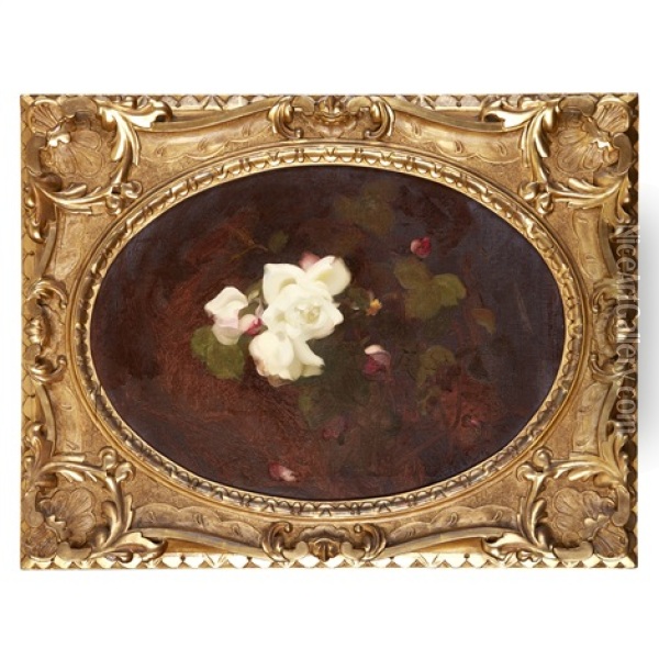 A Still Life Of Pink And White Roses Oil Painting - Stuart James Park