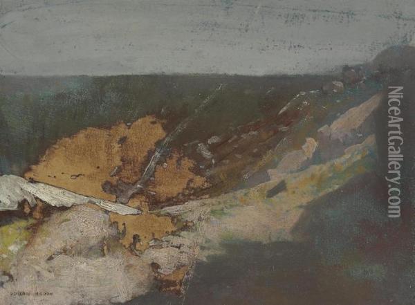 Paysage Marin Avec Falaise Oil Painting - Odilon Redon