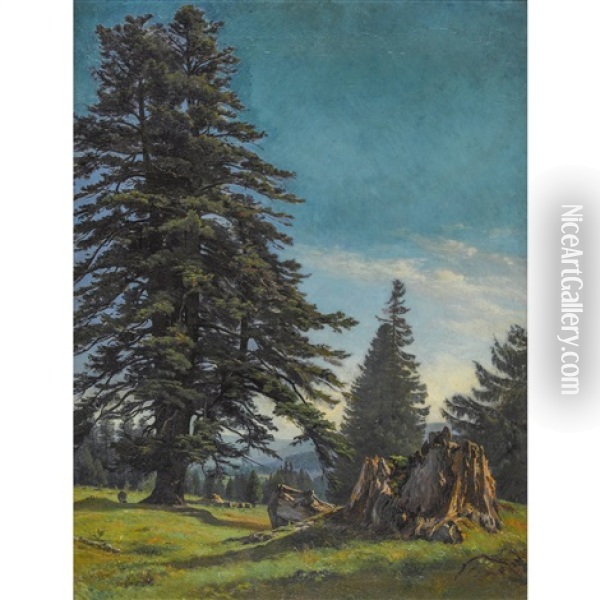 Sapin Du Jura Oil Painting - Albert De Meuron