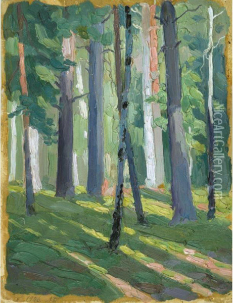 Forest In Sunlight Oil Painting - Alexander Konstantinovich Bogomazov