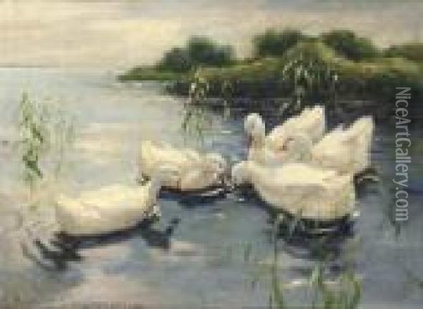 Ducks On A Stream Oil Painting - Rudolf Schramm-Zittau