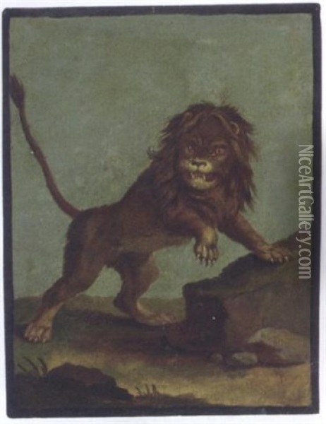 Study Of A Lion Oil Painting - Johann Elias Ridinger